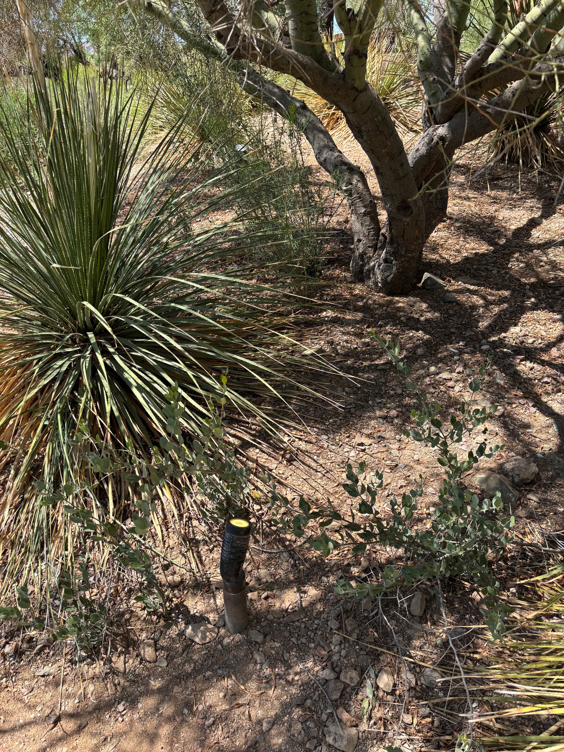 Gallery photos for Landscape Lighting Repair at Anthem Country Club in Anthem AZ: Image #5