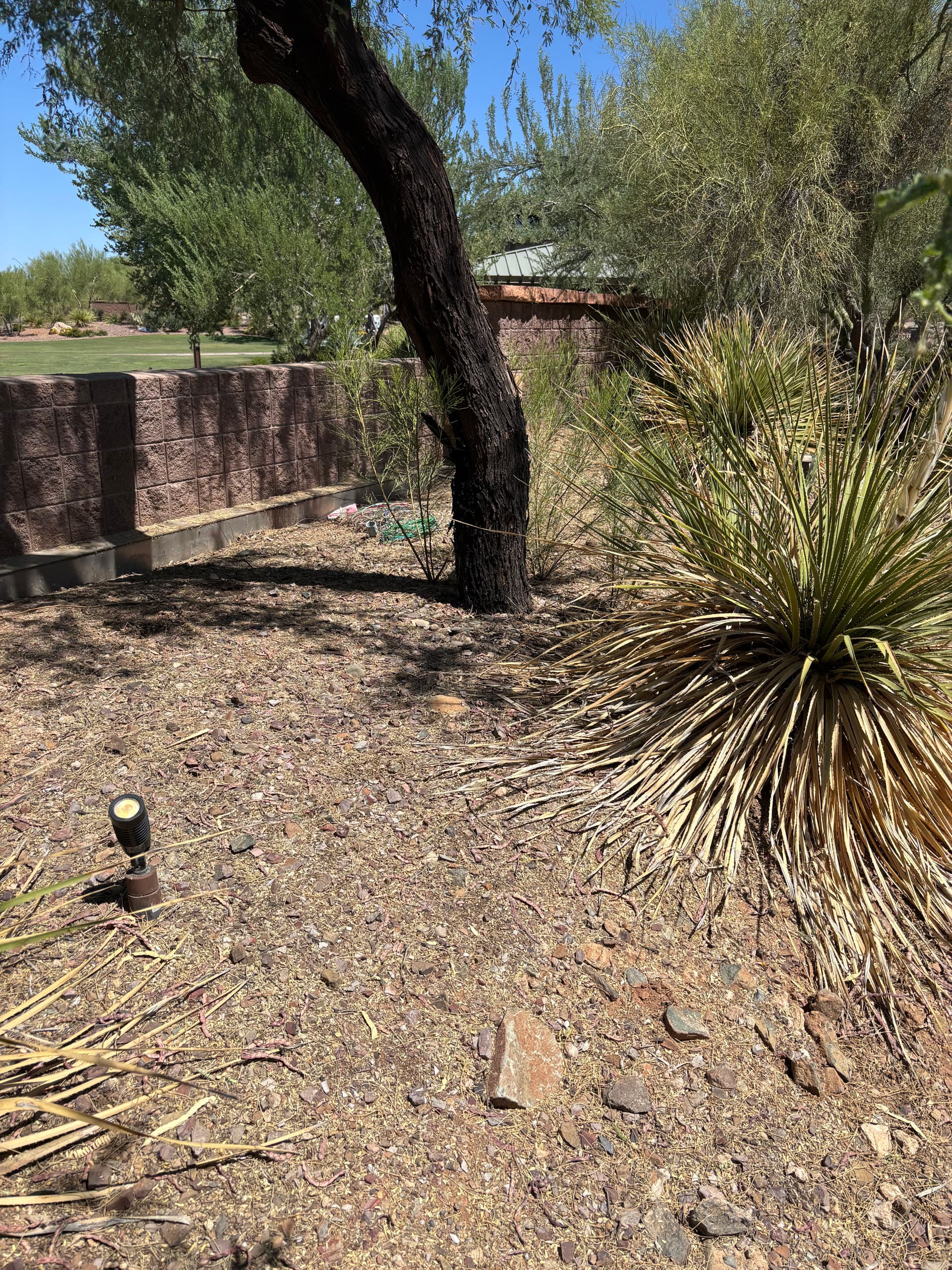 Gallery photos for Landscape Lighting Repair at Anthem Country Club in Anthem AZ: Image #4