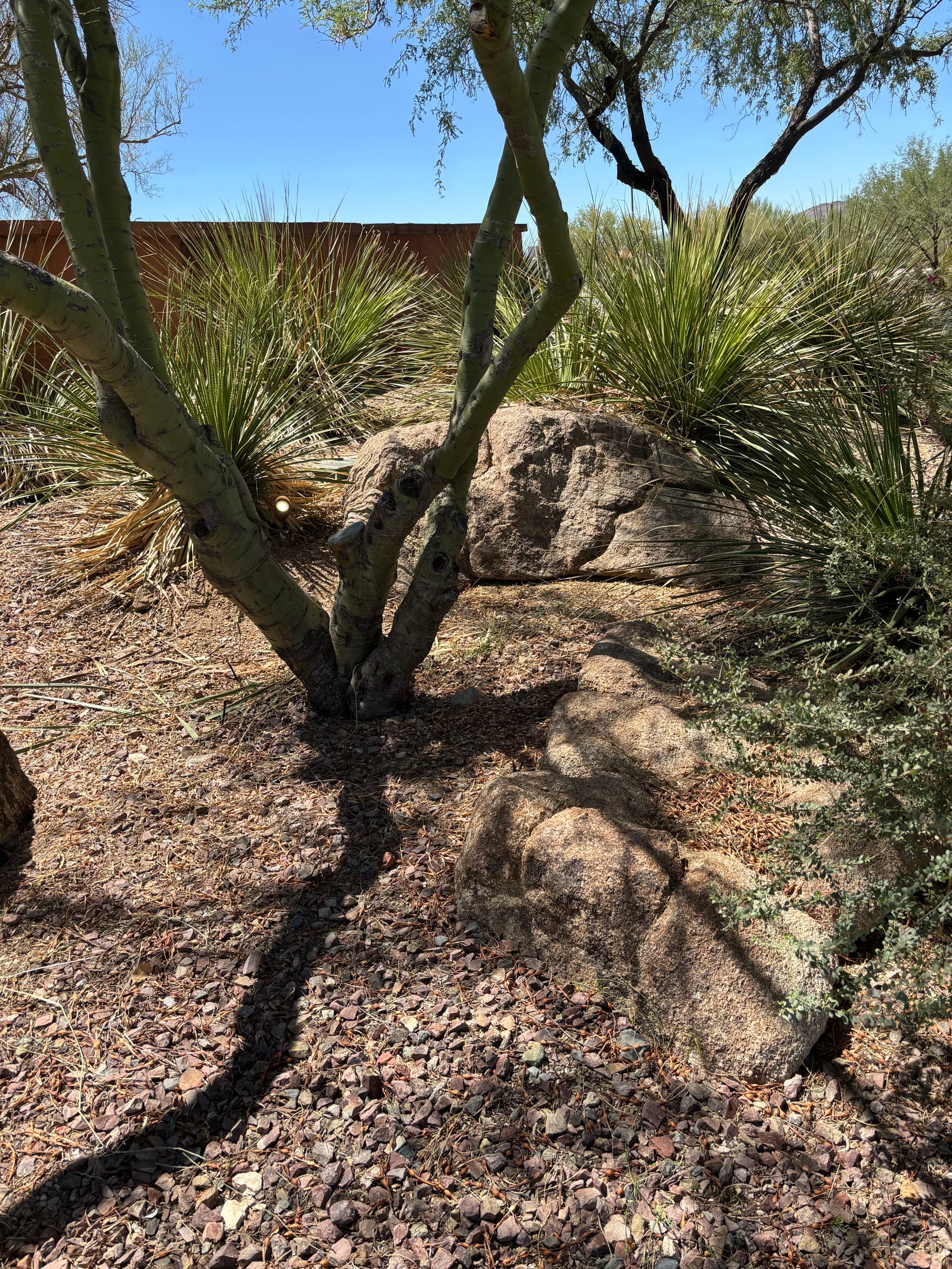 Gallery photos for Landscape Lighting Repair at Anthem Country Club in Anthem AZ: Image #2