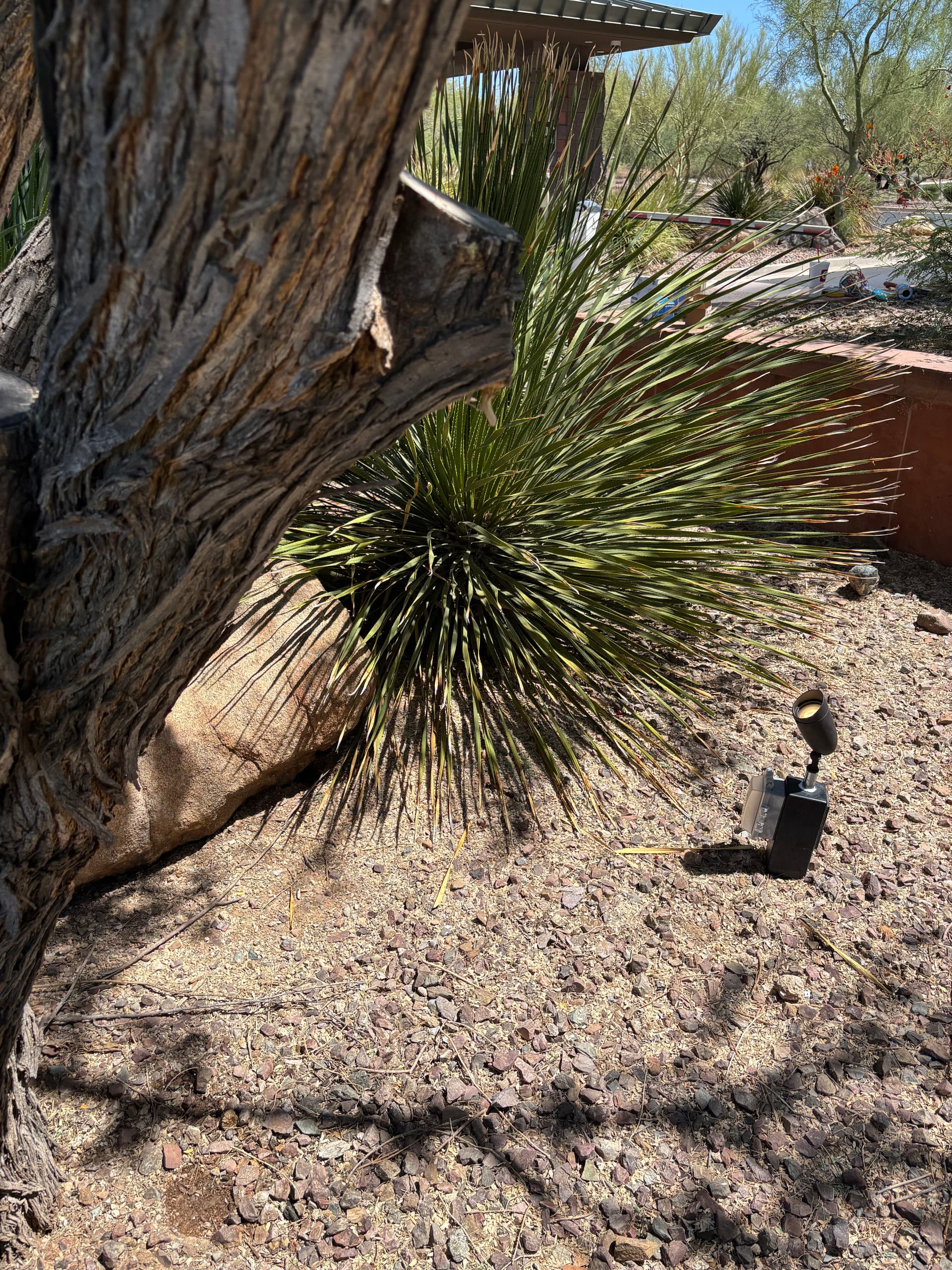 Gallery photos for Landscape Lighting Repair at Anthem Country Club in Anthem AZ: Image #8
