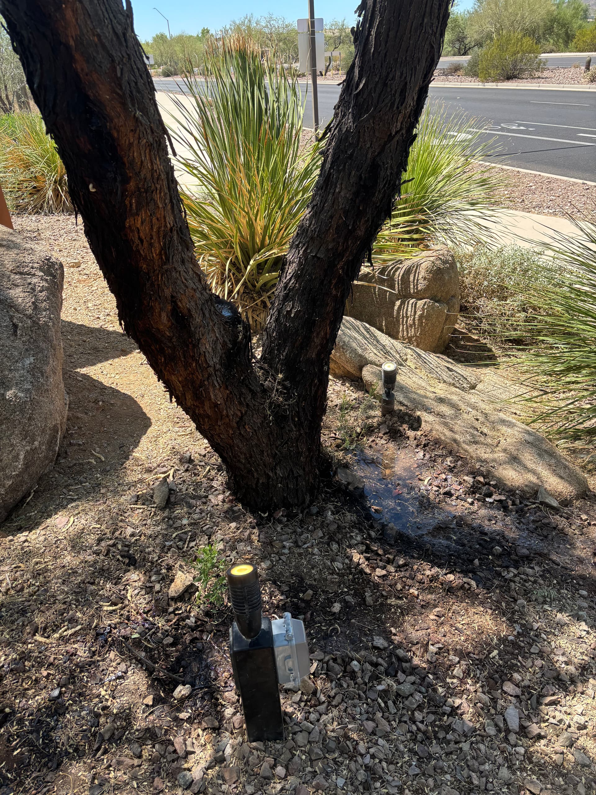 Gallery photos for Landscape Lighting Repair at Anthem Country Club in Anthem AZ: Image #1